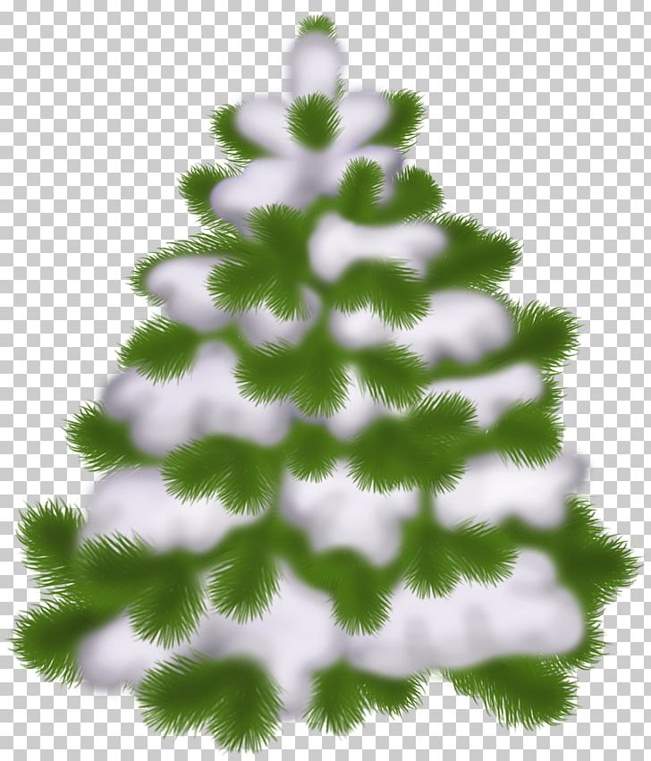 Christmas Tree PNG, Clipart, Branch, Christmas, Christmas And Holiday Season, Christmas Decoration, Christmas Lights Free PNG Download