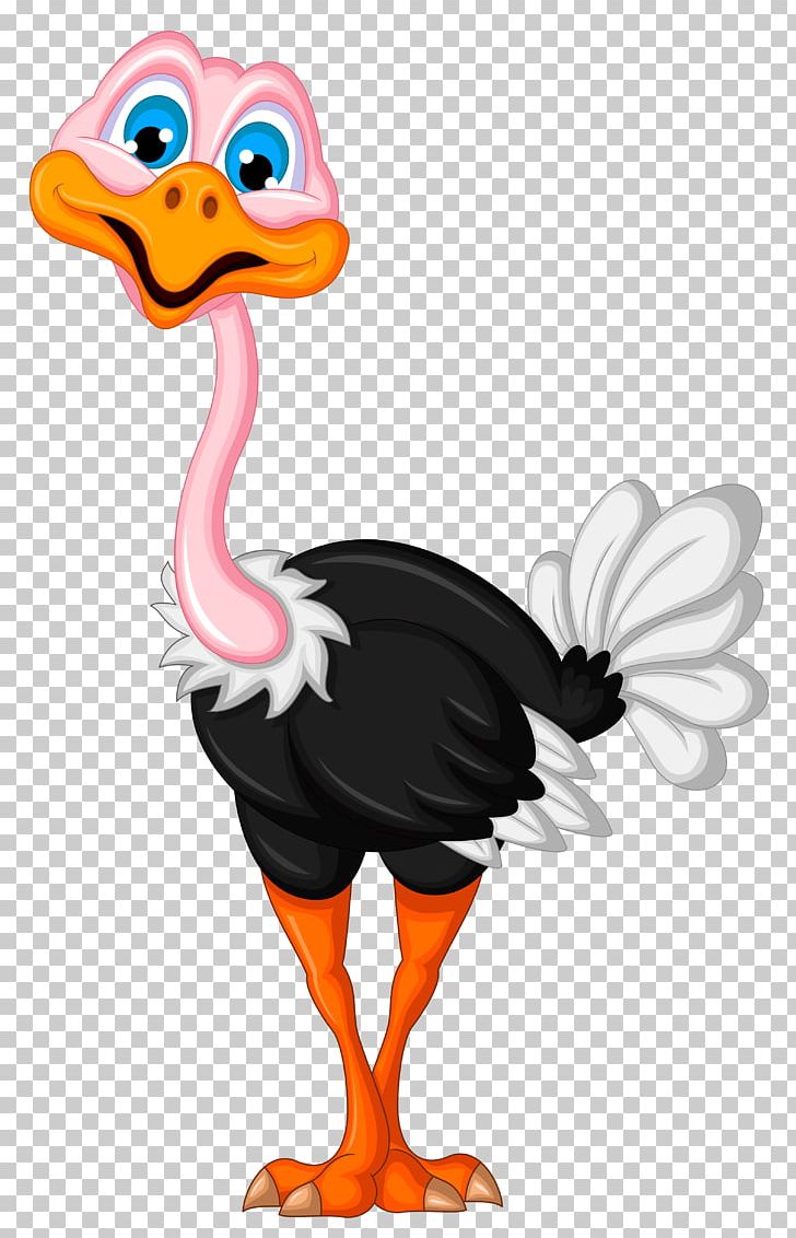 Common Ostrich Bird PNG, Clipart, Animals, Art, Beak, Bird, Cartoon Free PNG Download