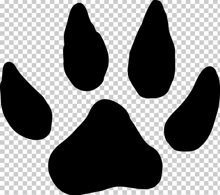 Paw Nose White Black M PNG, Clipart, Black, Black And White, Black M, Decal, Mink Free PNG Download