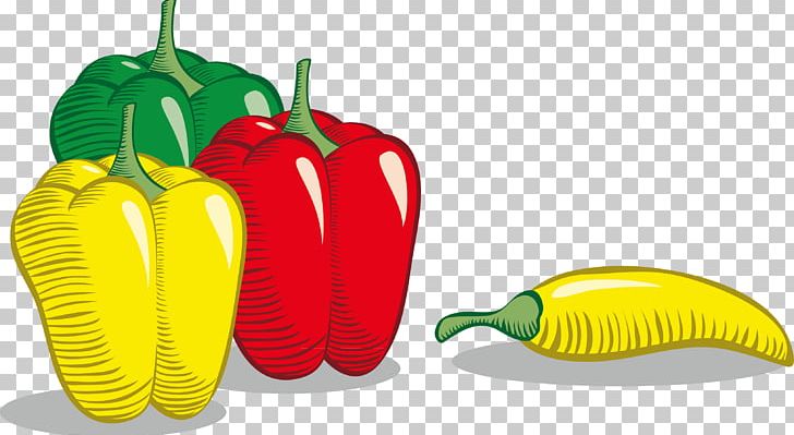 Tabasco Pepper Bell Pepper Cayenne Pepper Vegetable PNG, Clipart, Bell Pepper, Cayenne Pepper, Chili Pepper, Christmas Decoration, Decorative Free PNG Download