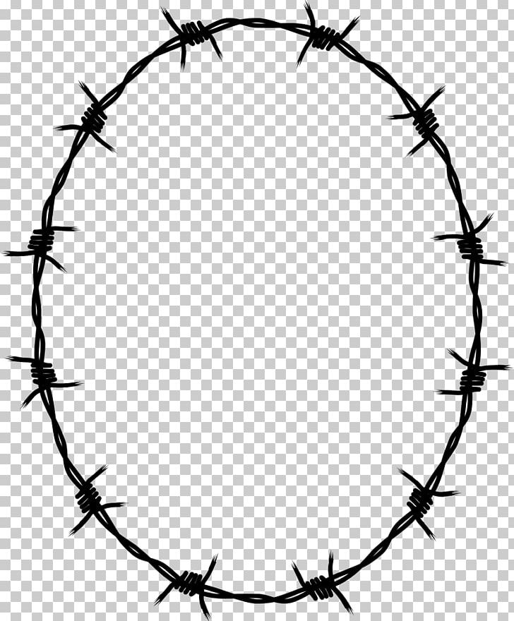 Barbed Wire Barbed Tape Concertina Wire PNG, Clipart, Barb, Barbed Tape, Barbed Wire, Black And White, Branch Free PNG Download