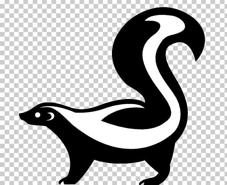 Drawing Skunk Cartoon PNG, Clipart, Animals, Artwork, Beak, Black And White, Carnivoran Free PNG Download