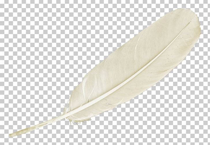 Feather U767du8272u7fbdu6bdb PNG, Clipart, Animals, Auglis, Background White, Banana, Black White Free PNG Download