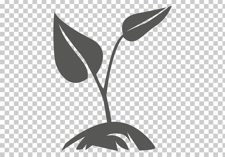 Plant Computer Icons PNG, Clipart, Artwork, Black And White, Branch, Computer Icons, Computer Wallpaper Free PNG Download
