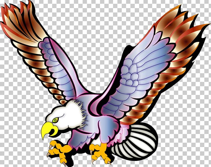 Bald Eagle Águilas PNG, Clipart, Animaatio, Animals, Bald Eagle, Beak, Bird Free PNG Download