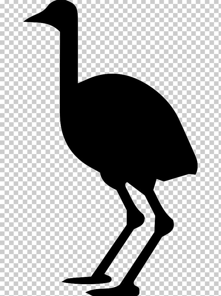 Common Ostrich Computer Icons Scalable Graphics Portable Network Graphics PNG, Clipart, Animal, Animals, Artwork, Beak, Bird Free PNG Download