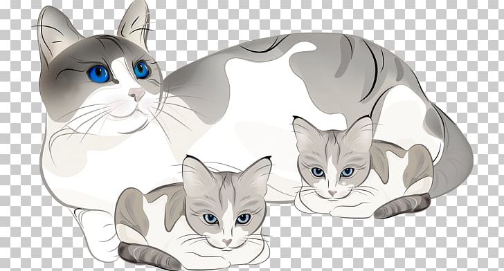 Kitten Cat PNG, Clipart, Black Cat, Carnivoran, Cartoon, Cat, Cat Like Mammal Free PNG Download