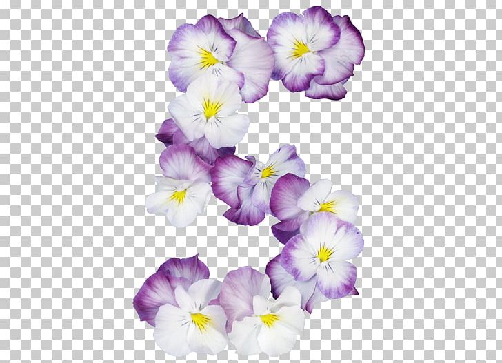 Pansy Alphabet Lettering Font PNG, Clipart, Alphabet, Flower, Flowering Plant, Iris, Iris Family Free PNG Download
