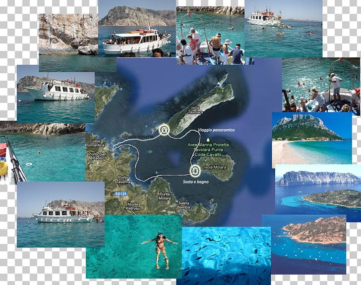Tavolara Island Isola Molara Ferry Pools Of Molara Traghetti Tavolara PNG, Clipart, Ausflug, Beach, Coastal And Oceanic Landforms, Collage, Excursion Free PNG Download