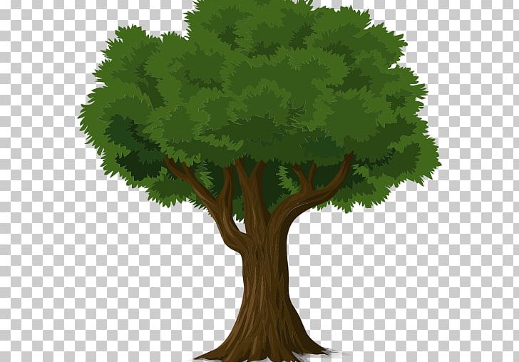 Tree Planting Fruit Tree Shade Tree Energy PNG, Clipart, Agac, Branch, Energy, Forest, Fruit Tree Free PNG Download