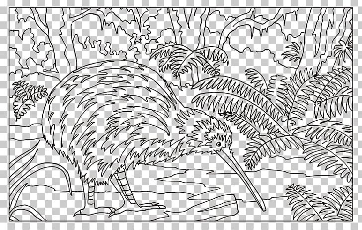 Flightless Bird Drawing Coloring Book PNG, Clipart, Animal, Animals, Area, Art, Beak Free PNG Download