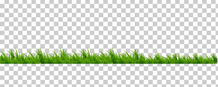 Lawn Meadow Brand Green PNG, Clipart, Angle, Brand, Brand Green, Decorative Patterns, Family Free PNG Download