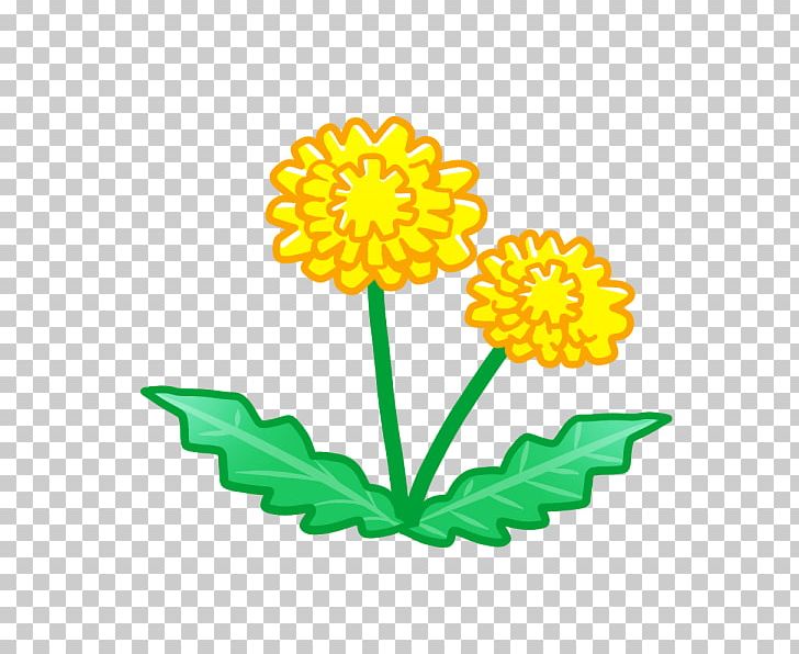 Dandelion Chrysanthemum Shintori PNG, Clipart,  Free PNG Download