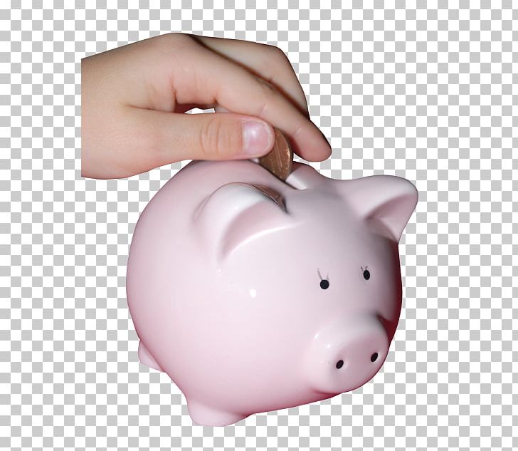 Piggy Bank Coin Money PNG, Clipart, Bank, Bank Clipart, Cash, Coin, Computer Icons Free PNG Download