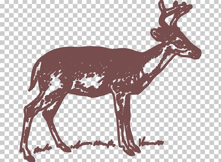 White-tailed Deer PNG, Clipart, Animals, Antler, Black And White, Deer, Drawing Free PNG Download