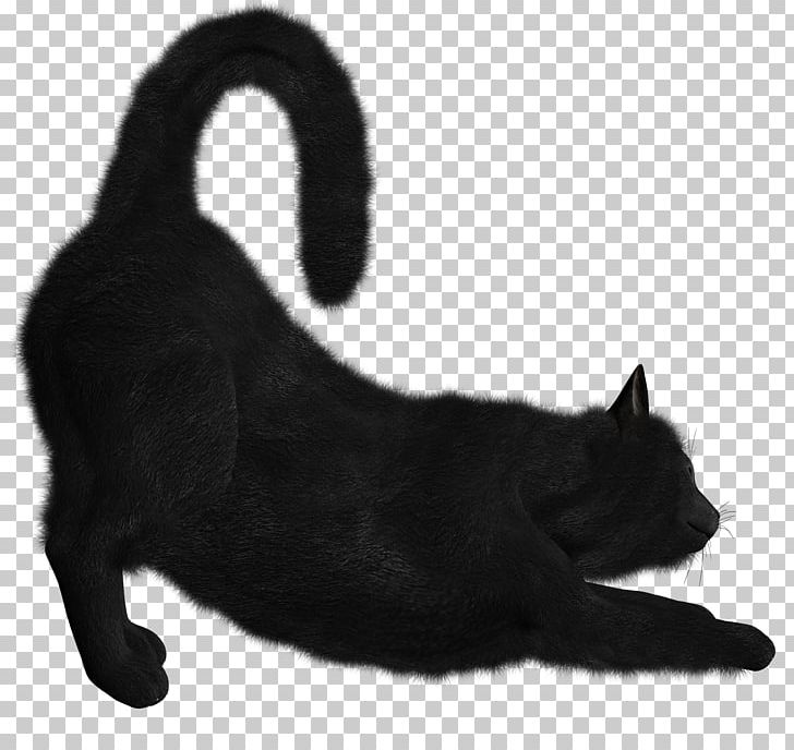 Black Cat Kitten PNG, Clipart, Animals, Black, Black And White, Black Cat, Bombay Free PNG Download