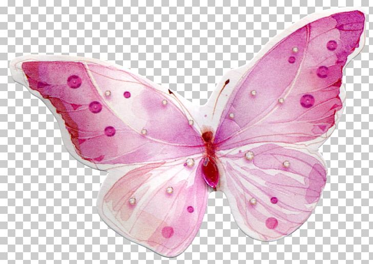 Butterfly PNG, Clipart, Adobe Illustrator, Animal, Brush Footed Butterfly, Butterflies, Cartoon Free PNG Download