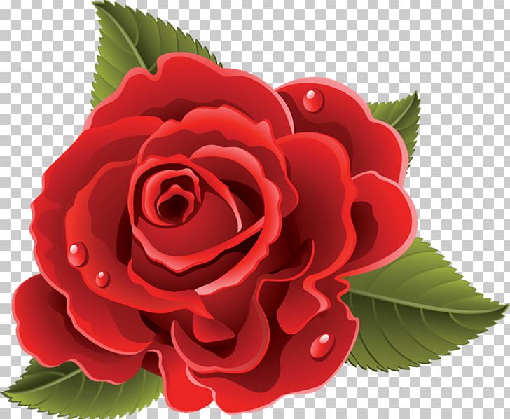 Flower Rose Blog PNG, Clipart, Begonia, Blog, China Rose, Computer Icons, Cut Flowers Free PNG Download