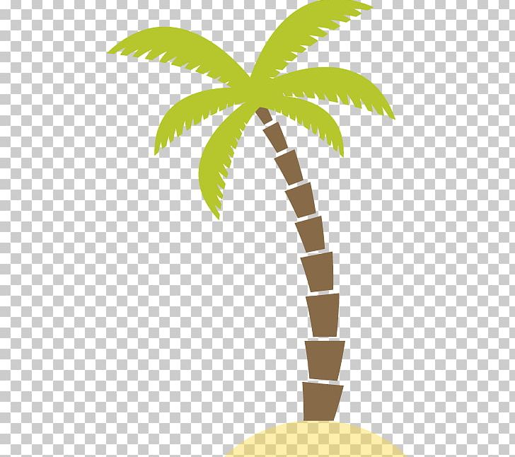 JoJo's Place Mount Lavinia Beach Coconut Facebook Location PNG, Clipart,  Free PNG Download