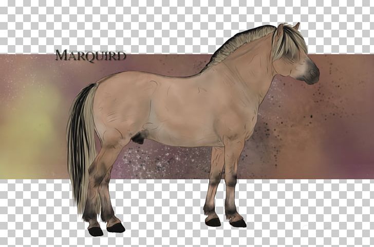 Mane Mustang Stallion Mare Pony PNG, Clipart, Bridle, Dog Harness, Fjord Horse, Halter, Horse Free PNG Download