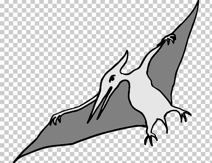 Pterodactyls Tyrannosaurus Spinosaurus Pterosaurs Flying Reptiles PNG, Clipart, Artwork, Beak, Bird, Black, Fauna Free PNG Download
