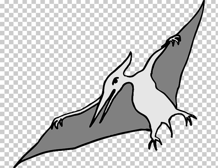 Pterodactyls Tyrannosaurus Spinosaurus Pterosaurs Flying Reptiles PNG ...