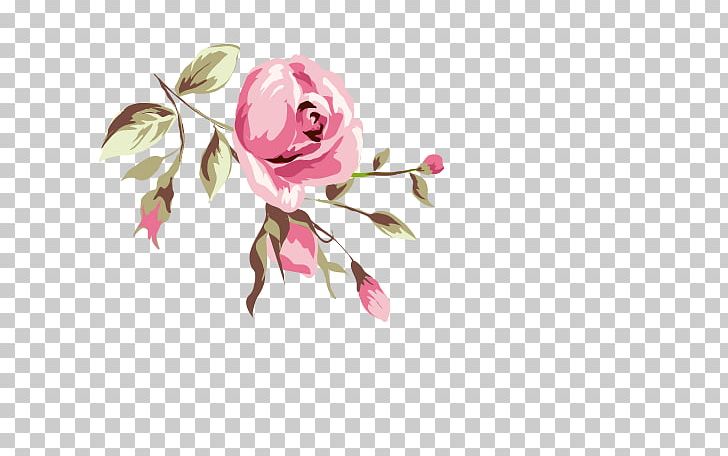 Rose Animation PNG, Clipart, Blossom, Branch, Cartoon, Cut Flowers, Drawing Free PNG Download