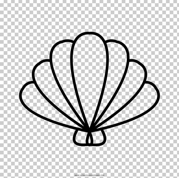 Seashell Logo Drawing PNG, Clipart, Animals, Area, Black And White, Circle, Computer Icons Free PNG Download