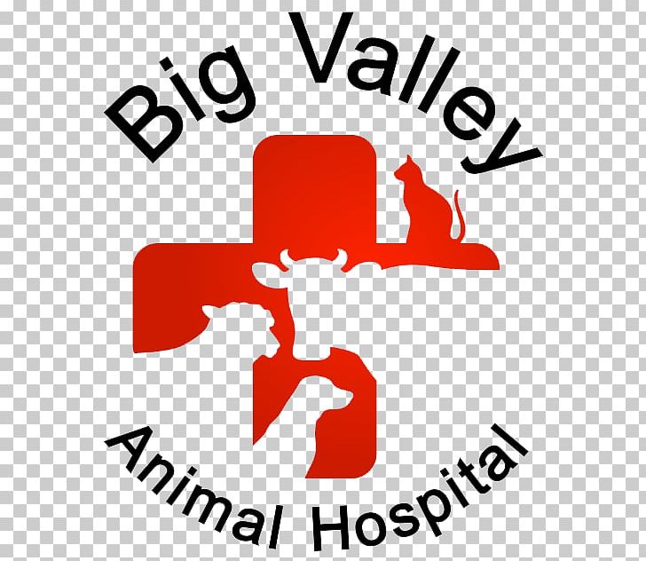 T-shirt Altavins Viticultors Birthday Big Valley Animal Hospital Gift PNG, Clipart, Area, Artwork, Birthday, Brand, Child Free PNG Download