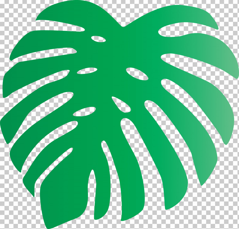 Monstera Tropical Leaf PNG, Clipart, Acupuncture, Acute Low Back, Adachi City, Ayase, Dental Braces Free PNG Download