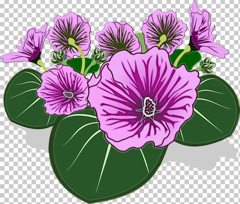 Flower Purple Violet Plant Petal PNG, Clipart, Anthurium, Flower, Morning Glory, Paint, Petal Free PNG Download