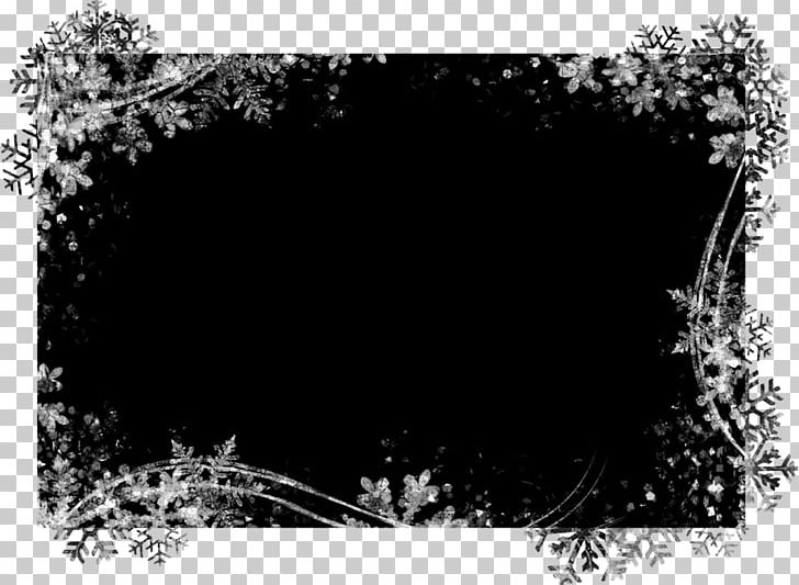 Frames Microsoft Paint Photography PNG, Clipart, Black, Black And White, Branch, Computer Wallpaper, Gimp Free PNG Download