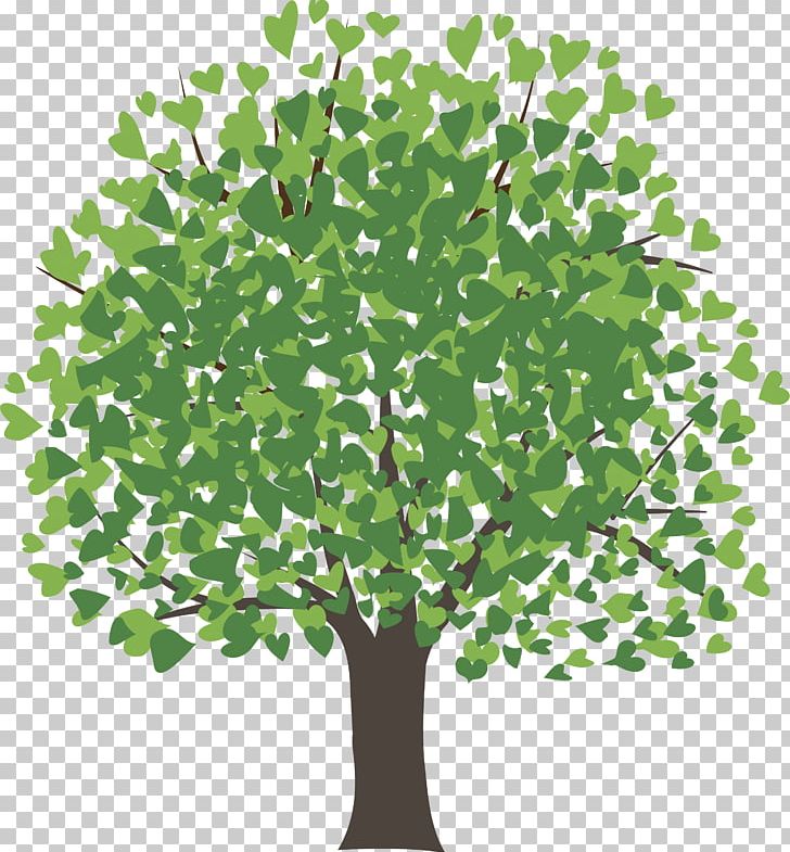 Mangifera Indica Tree Mango Drawing PNG, Clipart, Branch, Desktop Wallpaper, Drawing, Family Tree, Fruit Free PNG Download