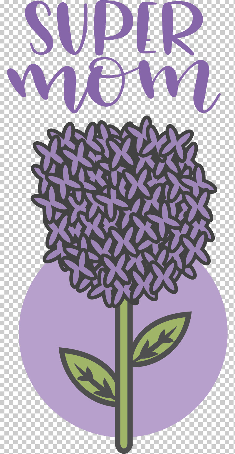 Lavender PNG, Clipart, Cartoon, Creative Work, Flower, Lavender, Lilac Free PNG Download