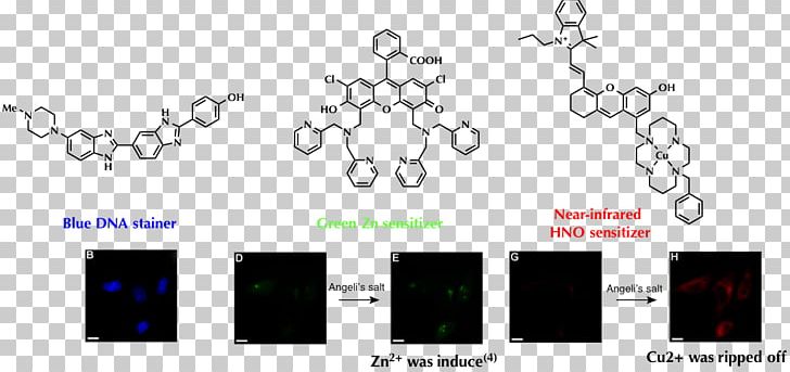 Graphic Design Nitroxyl Brand Nitric Oxide PNG, Clipart, Angle, Area, Black, Brand, Circle Free PNG Download