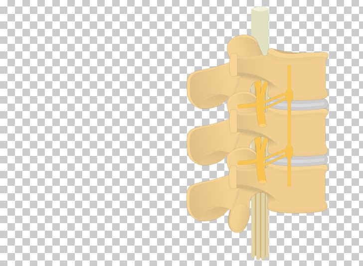 Line Angle PNG, Clipart, Angle, Art, Joint, Line, Vertebral Free PNG Download