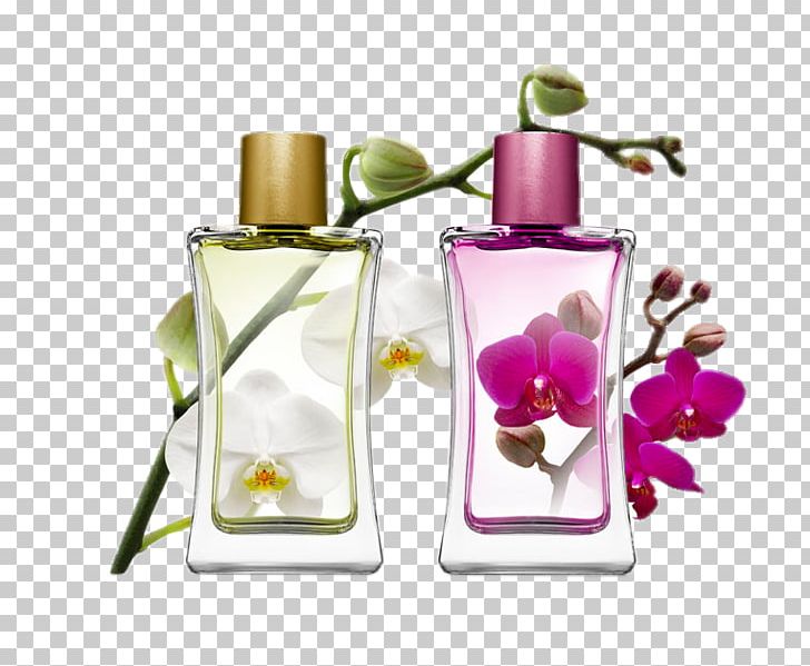 Perfumer Eau De Toilette IPRA Fragrances Aroma Compound PNG, Clipart, Clips, Cosmetic Industry, Cosmetics, Decorative, Eau De Cologne Free PNG Download
