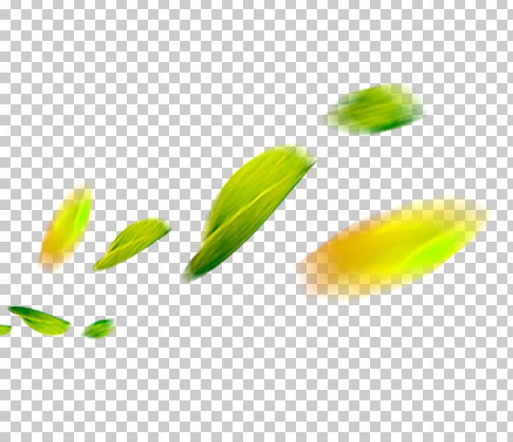 Petal PNG, Clipart, Adobe Illustrator, Banana Leaves, Computer Wallpaper, Data, Encapsulated Postscript Free PNG Download