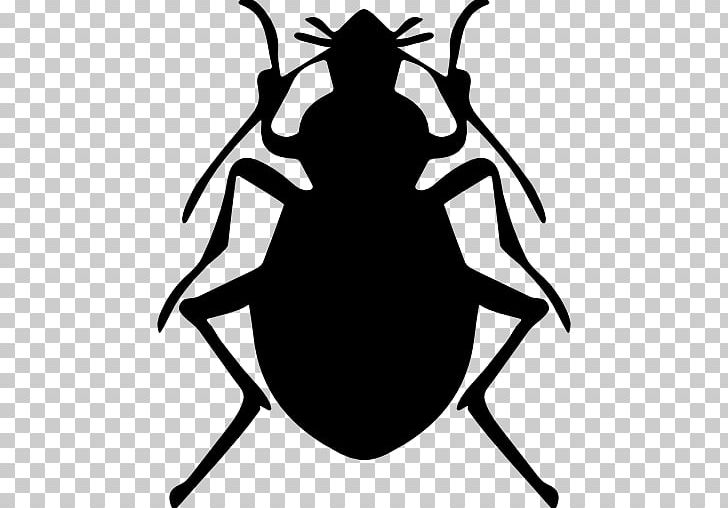 Beetle Pest Control Computer Icons Brown Marmorated Stink Bug PNG, Clipart, Animal, Animals, Artwork, Beetle, Black Free PNG Download