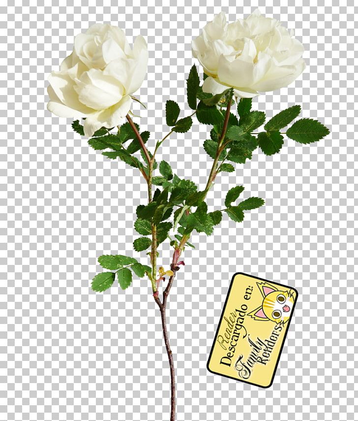 Flower PNG, Clipart, Artificial Flower, Branch, Cut Flowers, Encapsulated Postscript, Floral Design Free PNG Download