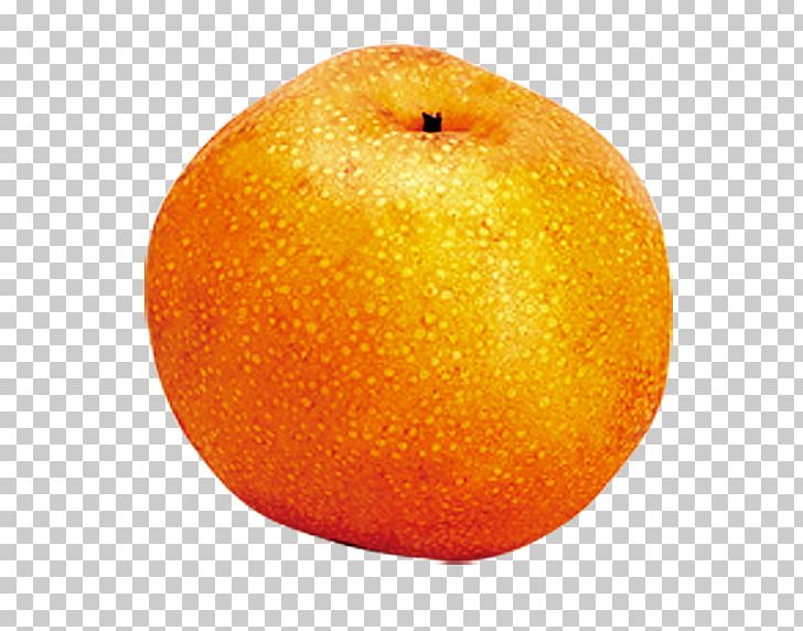 Clementine Mandarin Orange Fruit PNG, Clipart, Agriculture, Apple, Buttoned Fruit, Citrus, Clem Free PNG Download