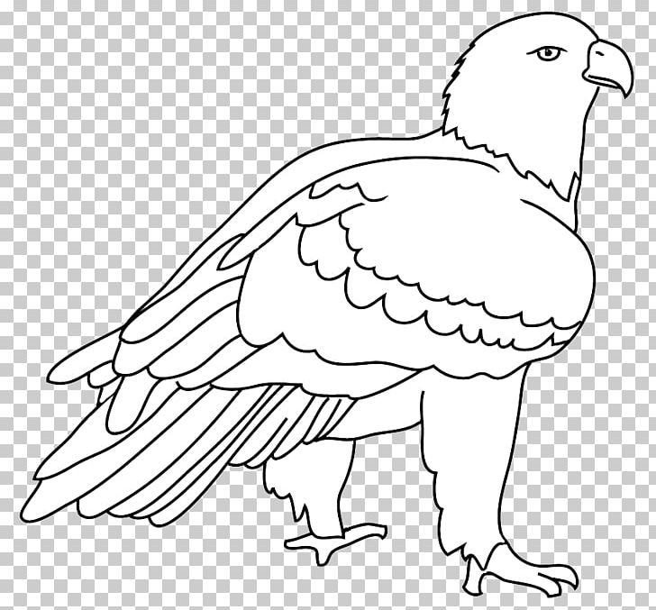 Line Art Beak Bald Eagle Bird Drawing PNG, Clipart, Animals, Artwork, Bald Eagle, Beak, Bird Free PNG Download