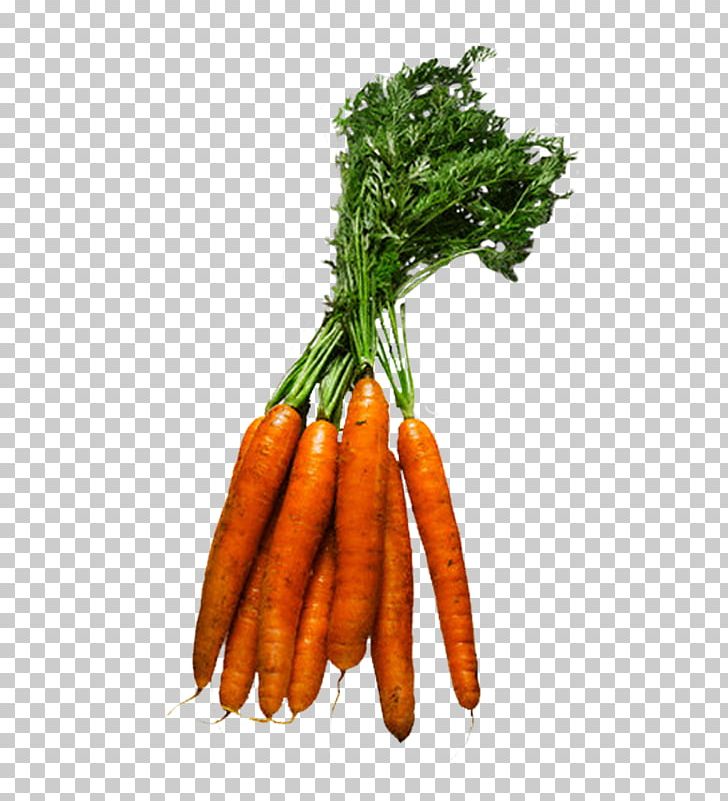Baby Carrot Leaf Vegetable Vegetarian Cuisine Food PNG, Clipart, Baby Carrot, Bell Pepper, Carrot, Chives, Eating Free PNG Download