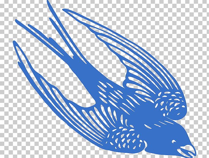 Blue Jay Bird PNG, Clipart, Animals, Area, Bird, Bird Flight, Black And  White Free PNG Download