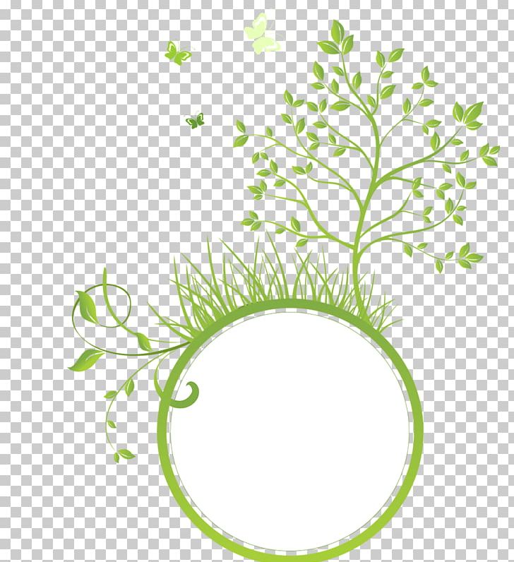 Green Nature RGB Color Model PNG, Clipart, Branch, Christmas Tree, Circle, Color, Designer Free PNG Download