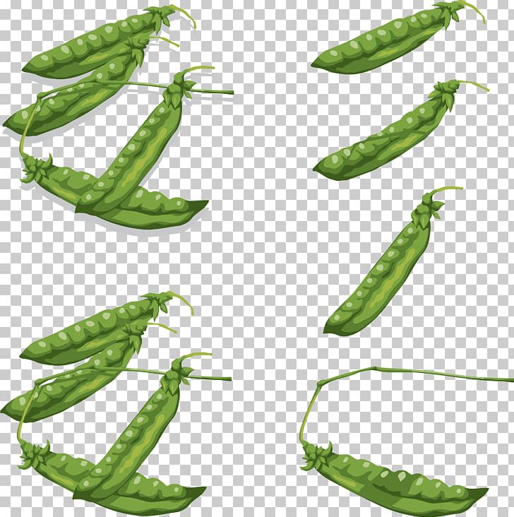 Pea Icon PNG, Clipart, Bean, Computer Icons, Download, Flat Bean, Food Free PNG Download