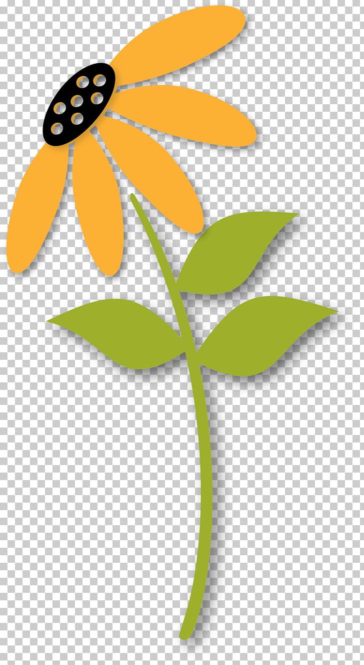 Petal Flower Pollinator Leaf Plant PNG, Clipart, Branch, Flora, Flower, Flowering Plant, Insect Free PNG Download