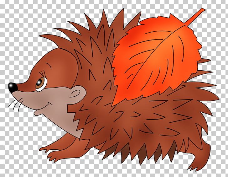 Whiskers European Hedgehog Domesticated Hedgehog PNG, Clipart, Animals, Art, Canidae, Carnivoran, Cartoon Free PNG Download