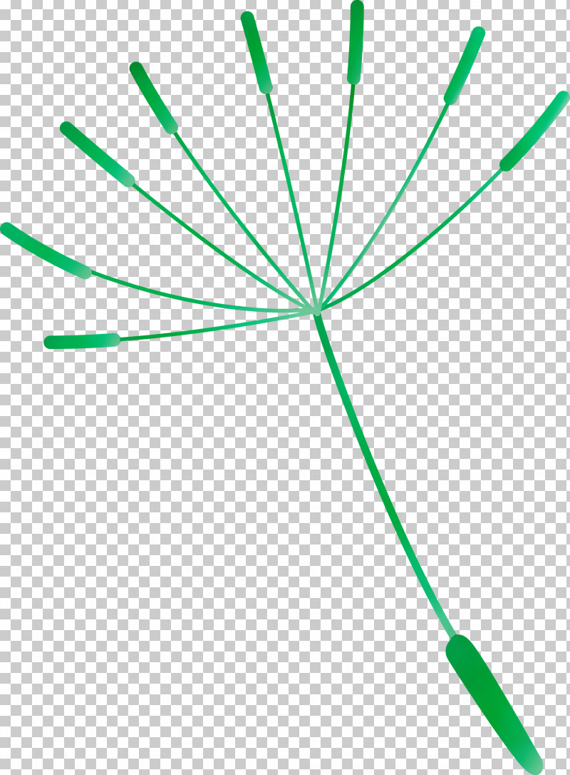 Leaf Plant Stem Green Line Meter PNG, Clipart, Biology, Dandelion, Geometry, Green, Leaf Free PNG Download