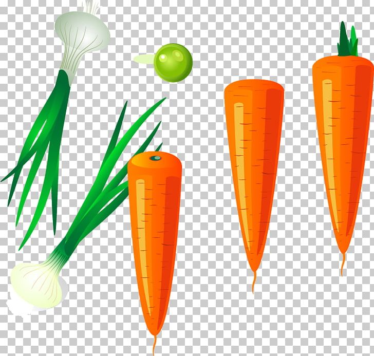 Carrot PNG, Clipart, Artworks, Carrot Vector, Encapsulated Postscript, Food, Garlic Free PNG Download
